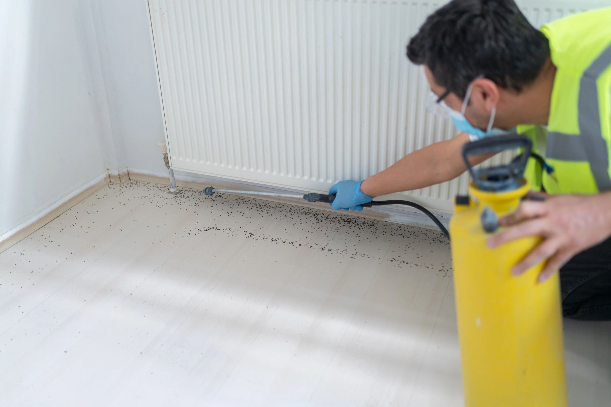 Technician treating along a baseboard inside a home