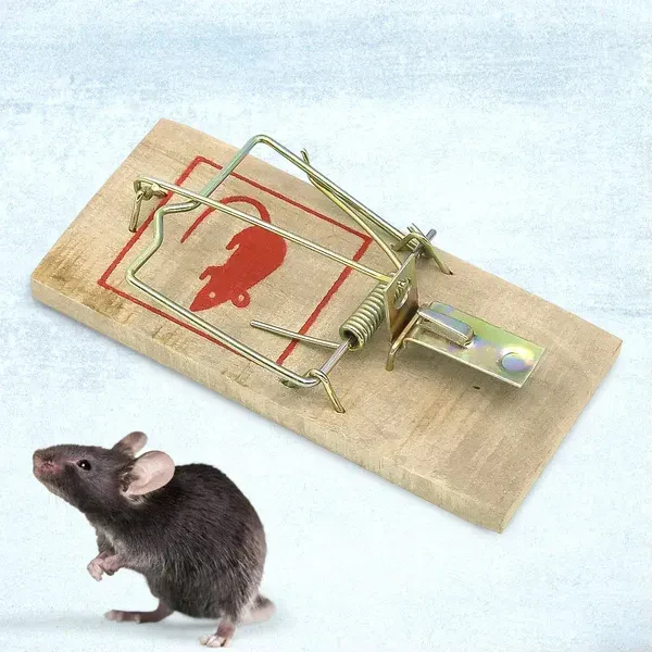 Rodent traps
